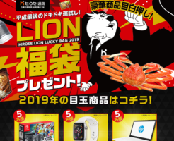 2019年ヒロセ通LION福袋キャンペーン