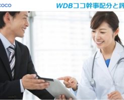 WDBココIPO初値予想と幹事配分