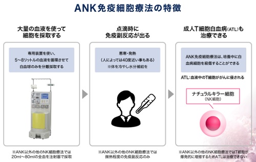 ANK免疫細胞療法の特徴